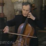 Даниил Шафран